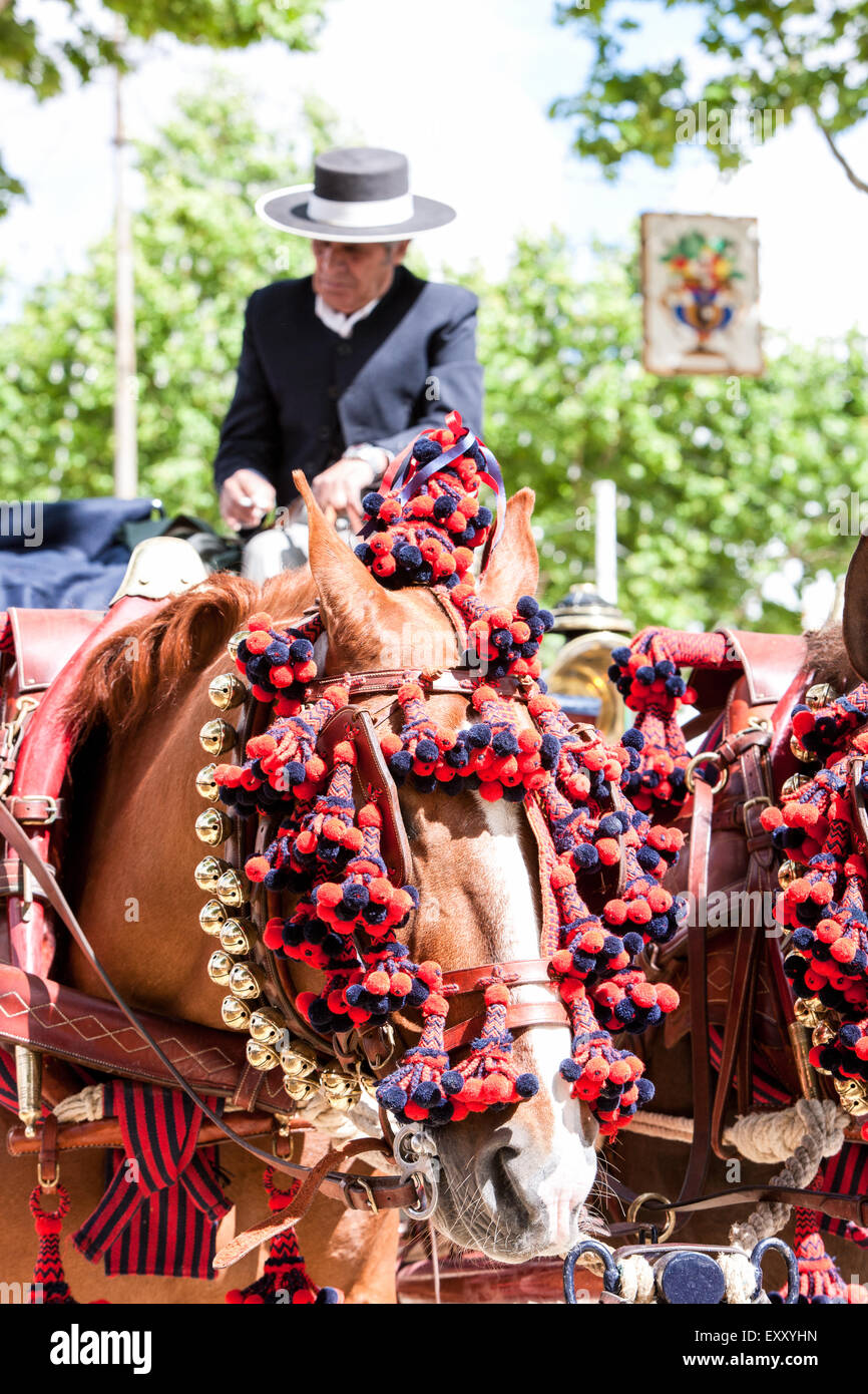 Decorated horses of horse drawn wagon/cart/carriage in Seville