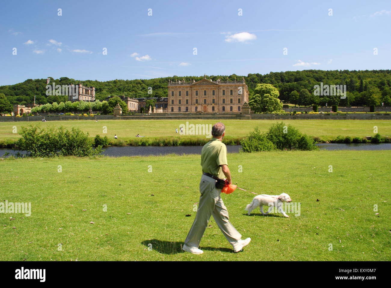 A man walks a dog through the parkland surrounding Chatsworth House (pictured) in the Peak District, Derbyshre, UK - summer Stock Photo
