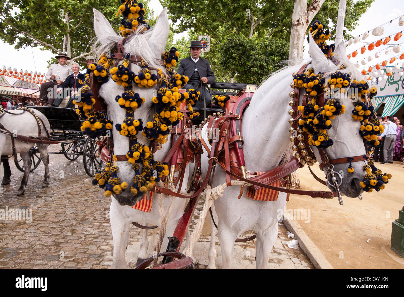 Decorated horses of horse drawn wagon/cart/carriage in Seville
