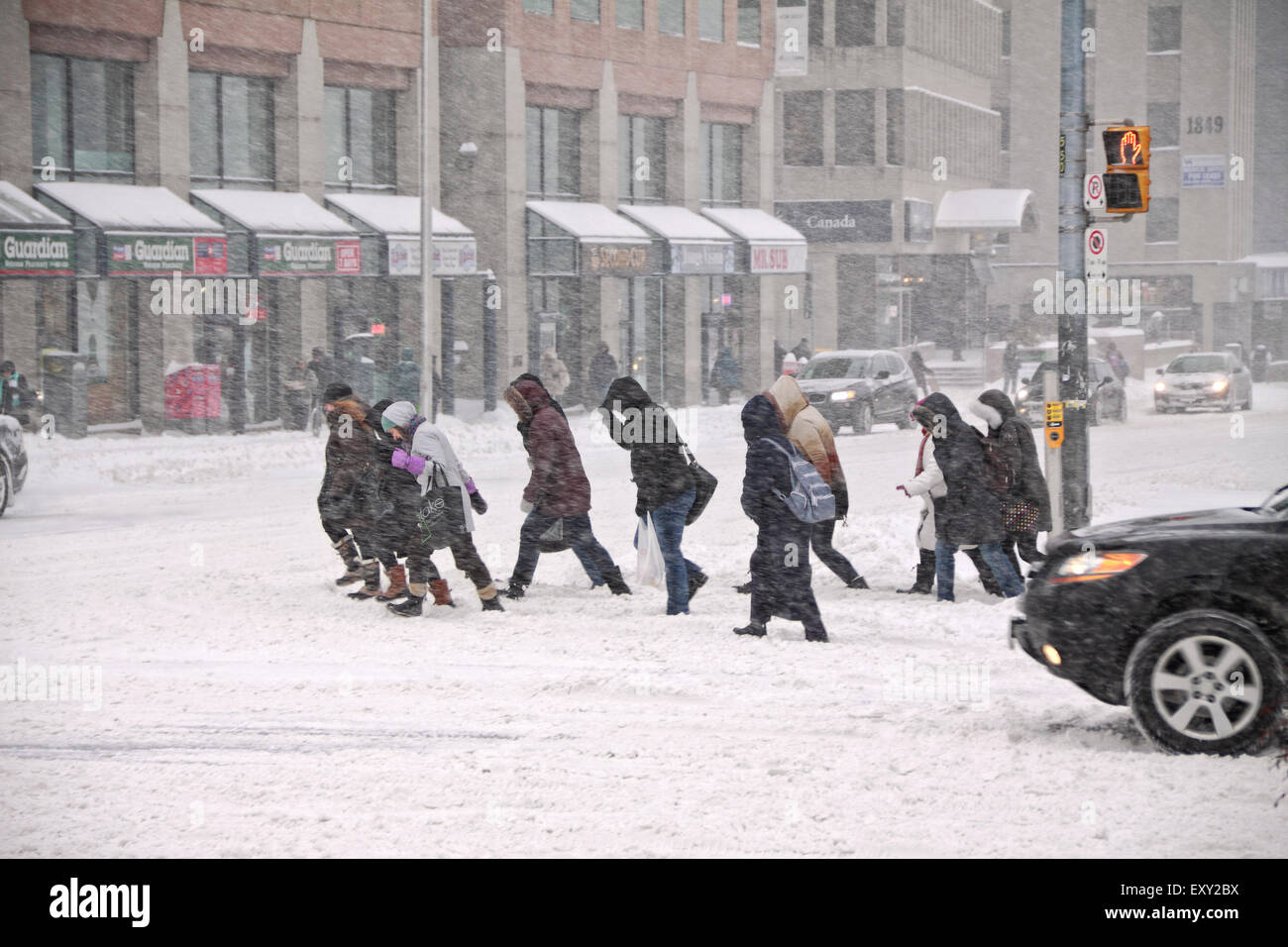 Torontonian leaving Davisville Subway Station and crossing the heavy traffic on Yonge Street in snow storm Stock Photo