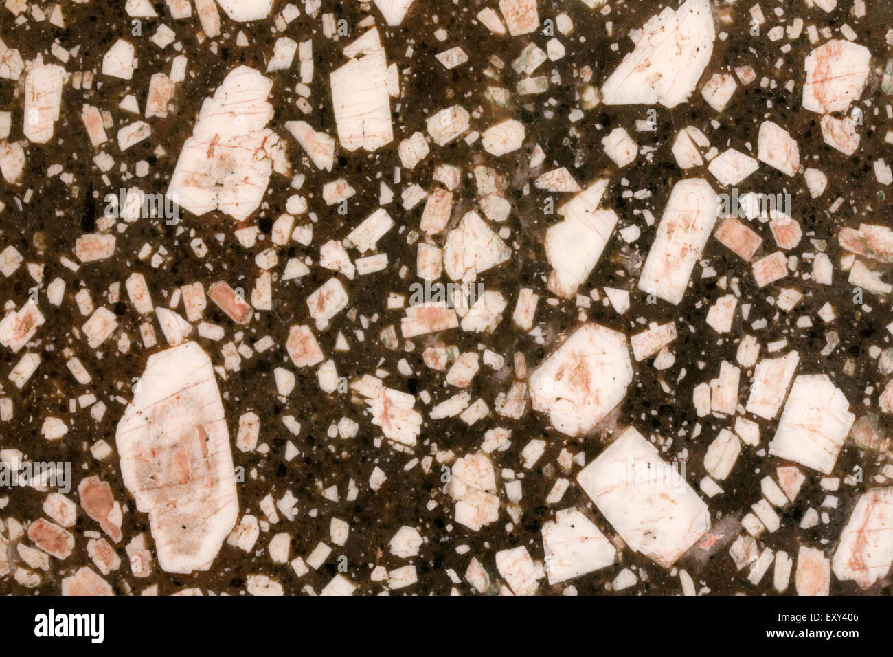 Bannockburn Porphyry  (Matachewan Porphyry), showing feldspar phenocrysts in a mafic matrix Canada, igneous rock Stock Photo