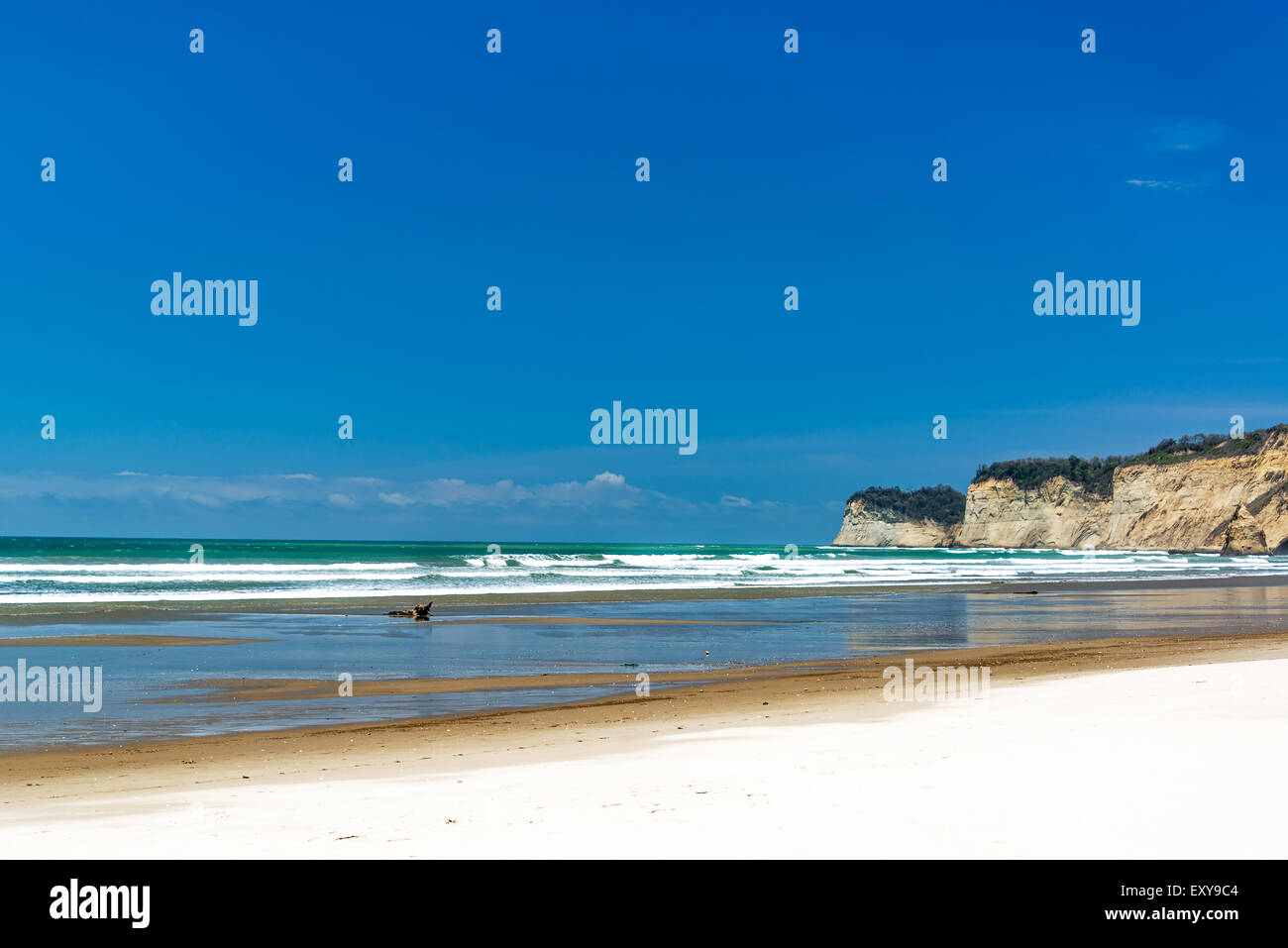 White background and ecuador hi-res stock photography and images - Alamy