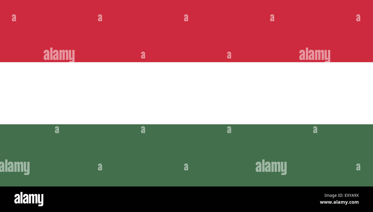 Official Flag of Hungary Flat Large Size Horizontal Stock Photo