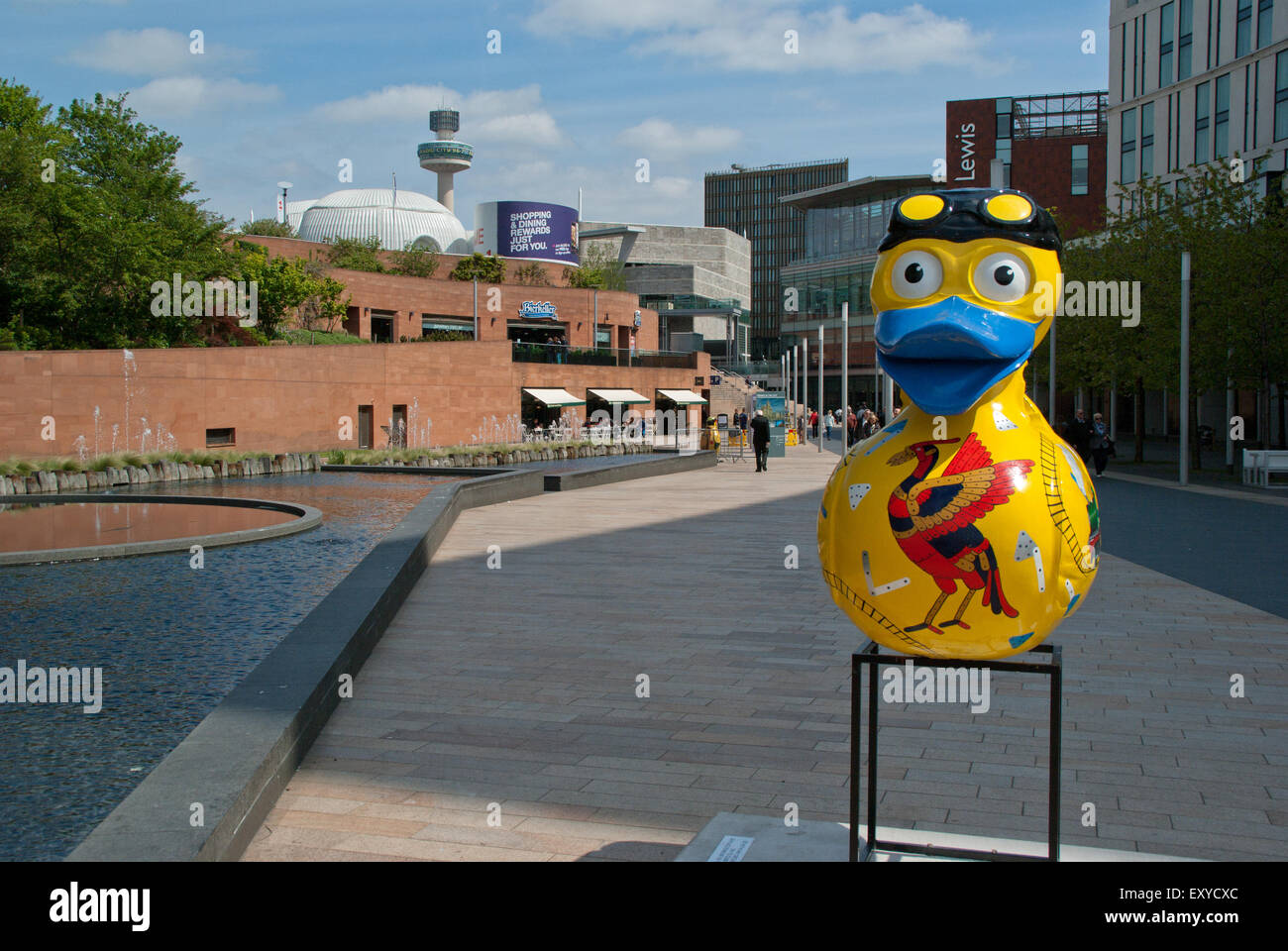 Hornby Duck Stock Photo