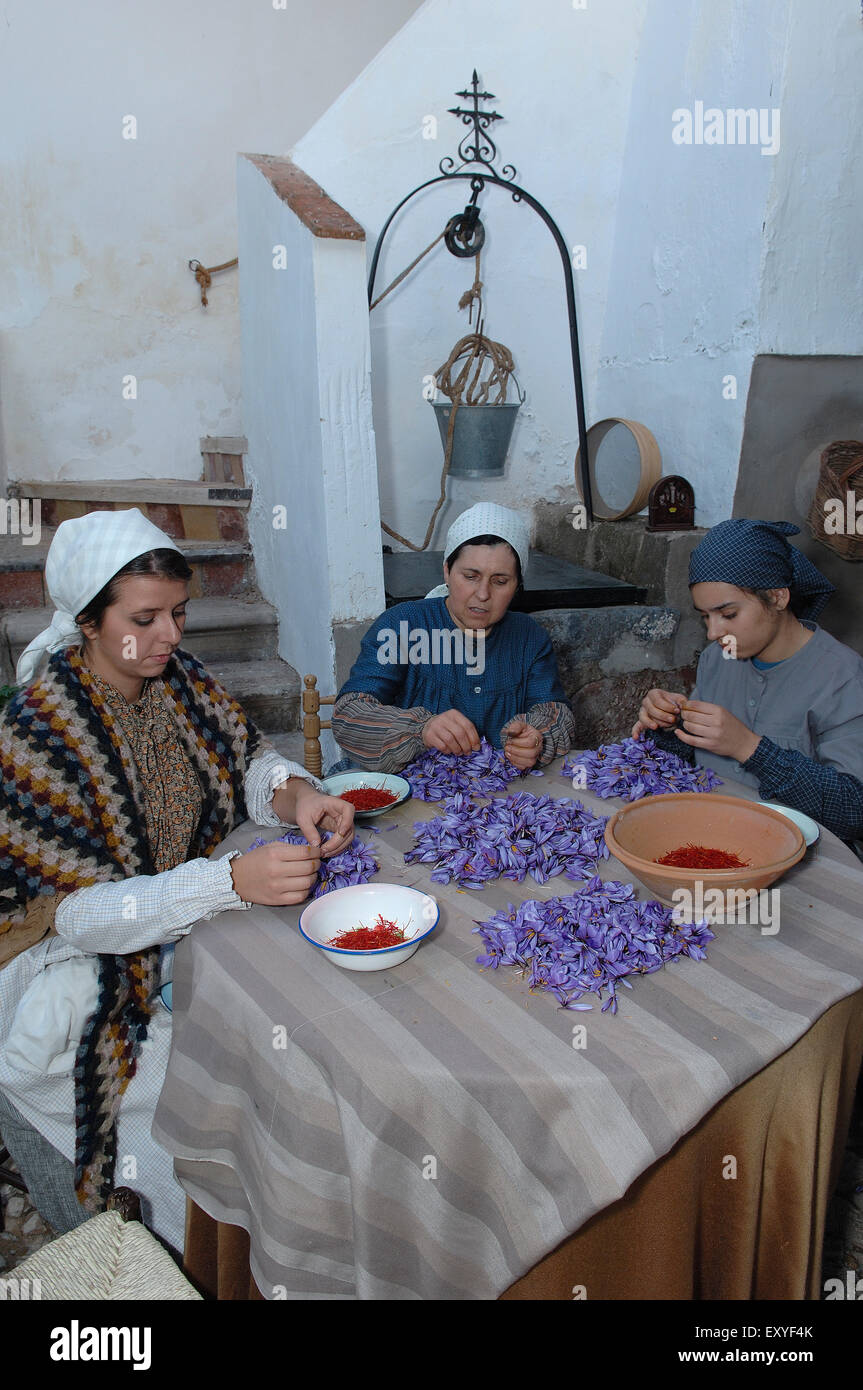 Consuegra, Extracting saffron flower stigmas, Saffron Rose festival