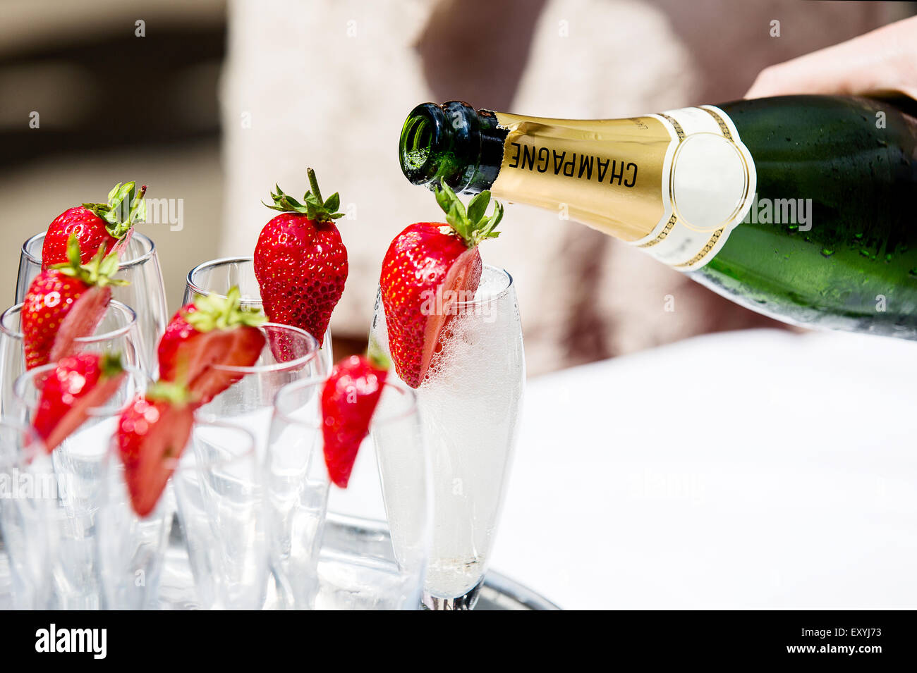 Champagne being poured into glasses decorated with strawberry's. Typical of an English garden party or wedding reception. Left on a table for guests Stock Photo