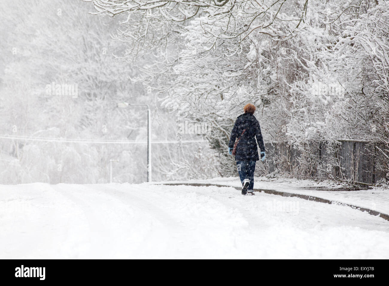 A woman walking along a snow covered suburban road through a snow blizzard. Using the road to gain some grip as the footpath is frozen and slippery Stock Photo