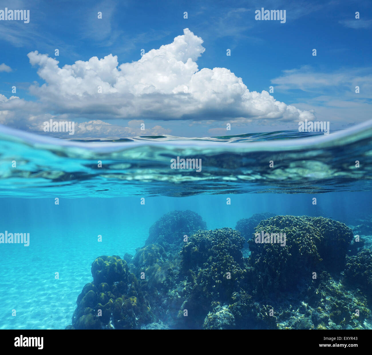 Top half with blue sky and cloud, and underwater split by waterline, a ...