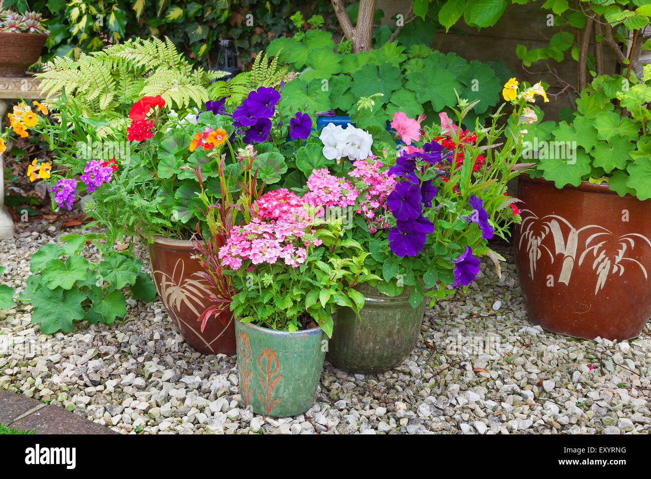 Shady corner of a garden with containers full of colorful flowers Stock