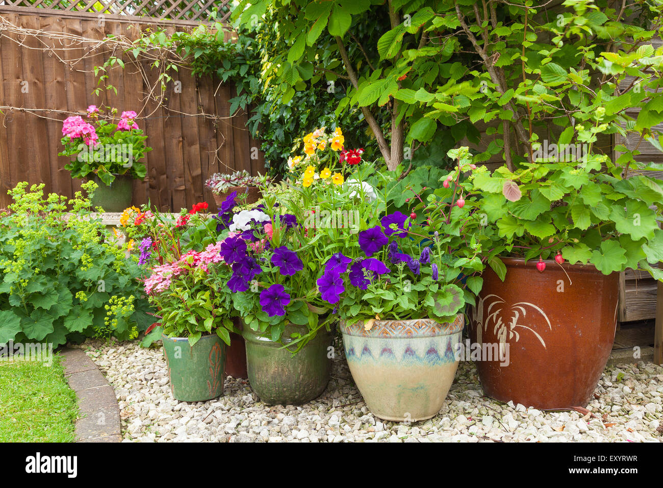 Shady corner of a garden with containers full of colorful flowers Stock