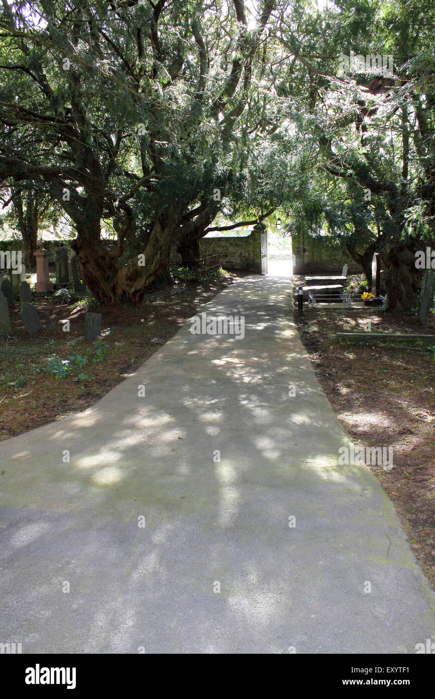 What Happened Beneath St Michael Churchyard Is Bleeding Through the Walls
