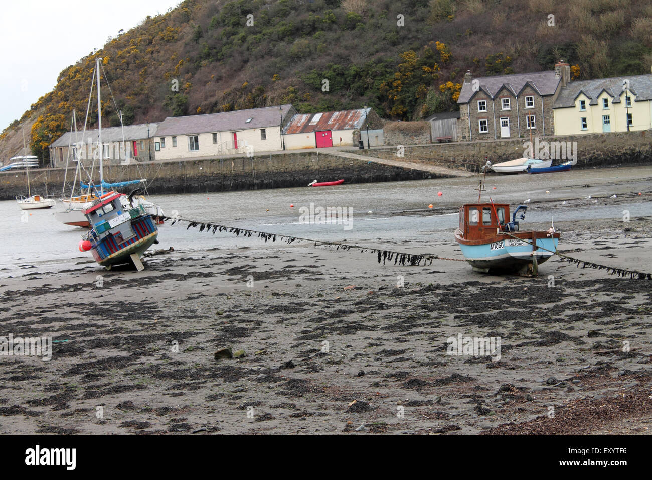 Lower Town harbour at low tide, Fishguard, Pembrokeshire, West Wales