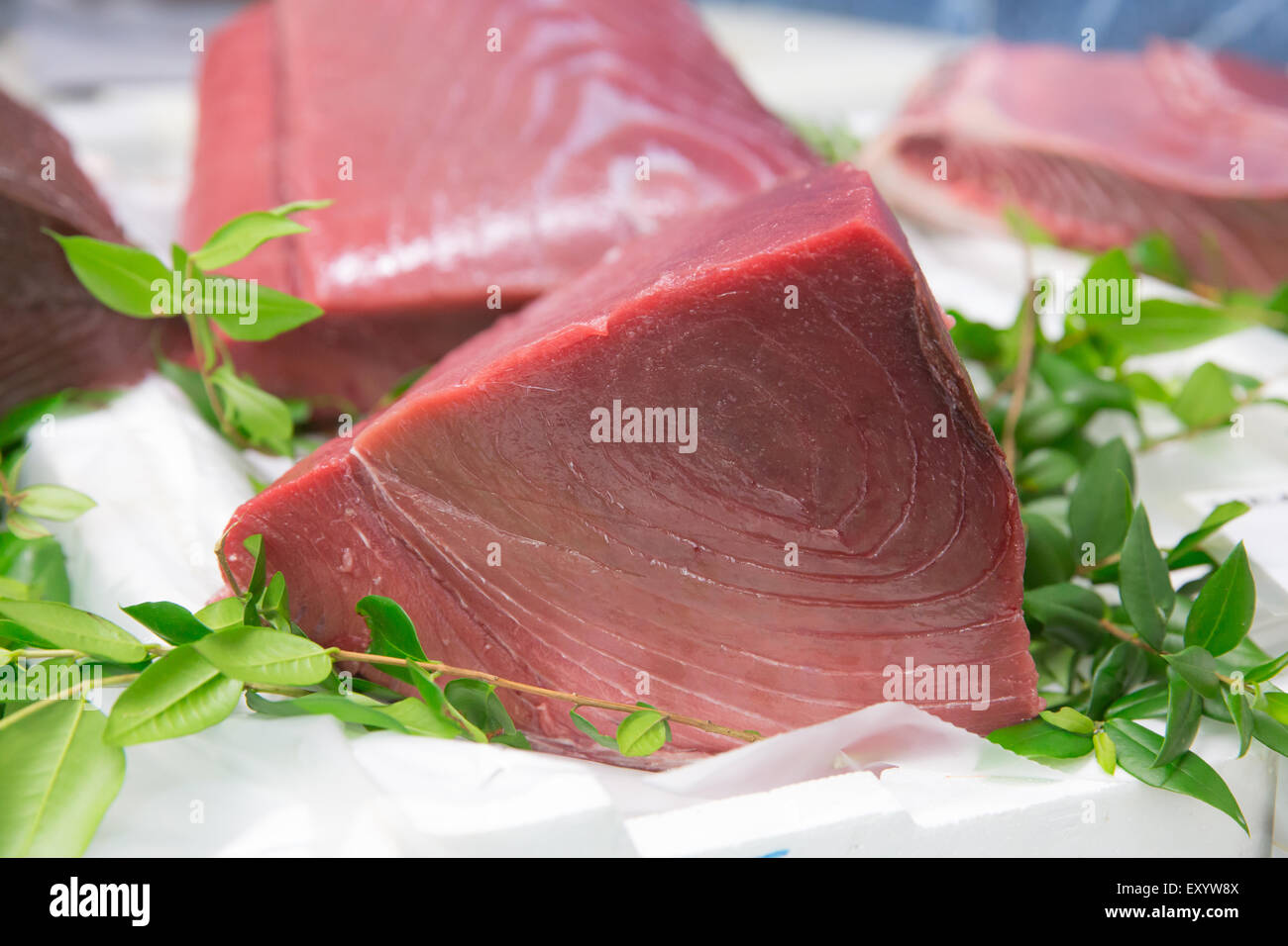 A big slice of red tuna fish Stock Photo
