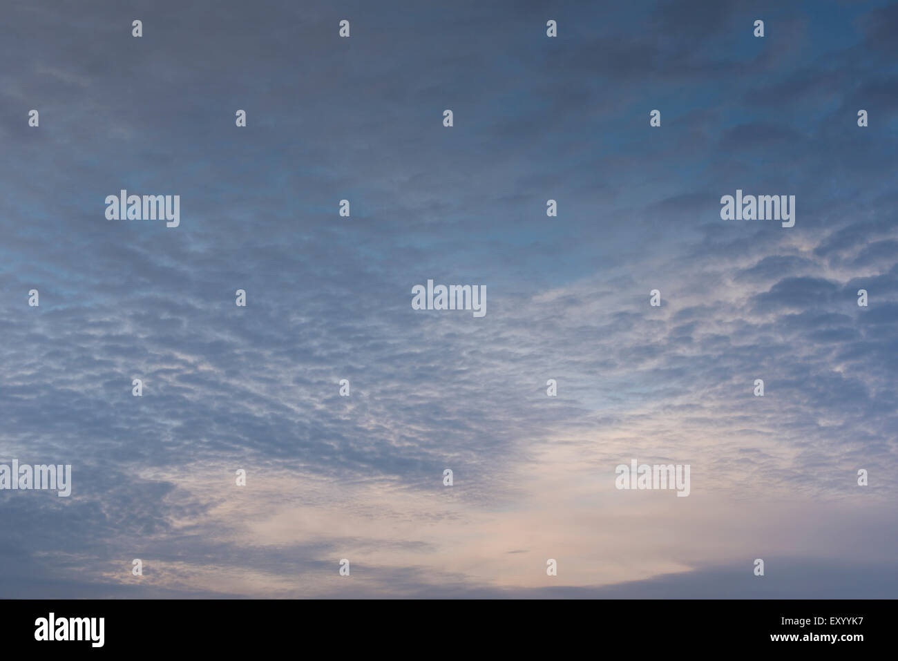 Blue evening sky scattered with altocumulus clouds Stock Photo