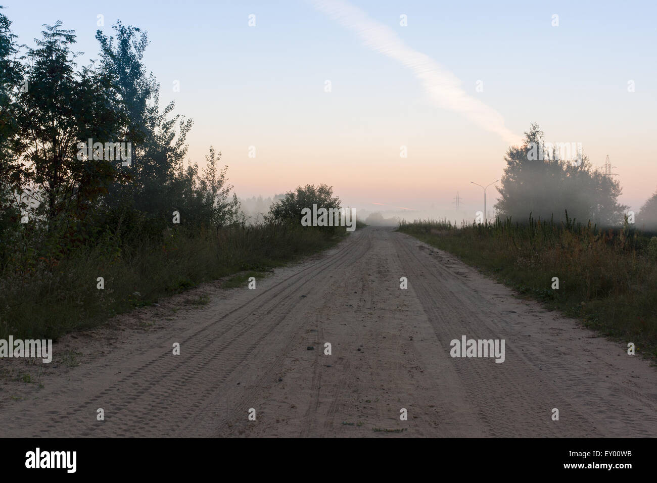 the road passes among trees in morning fog Stock Photo - Alamy