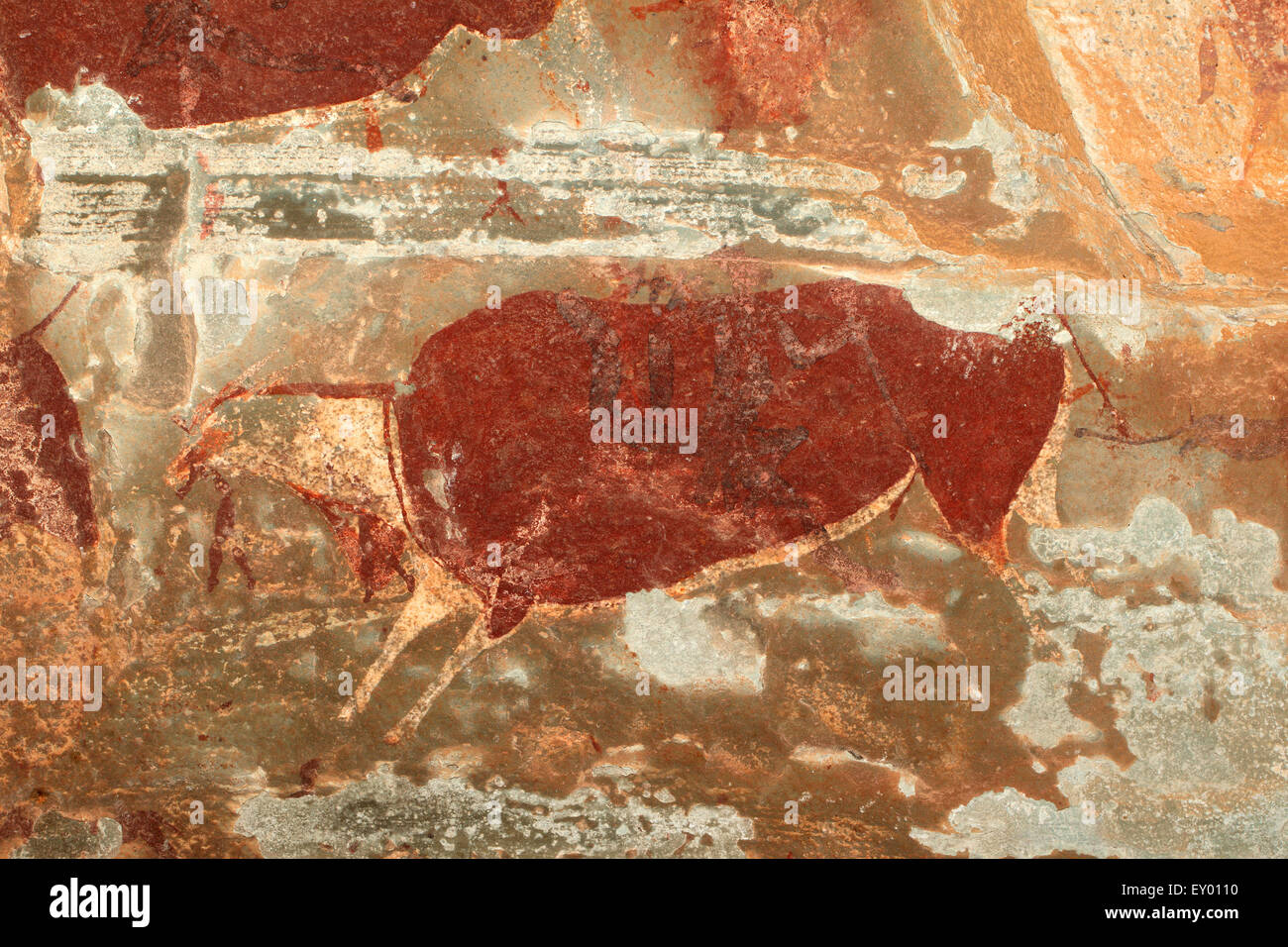 Bushmen (san) rock painting of an eland antelope, Drakensberg mountains