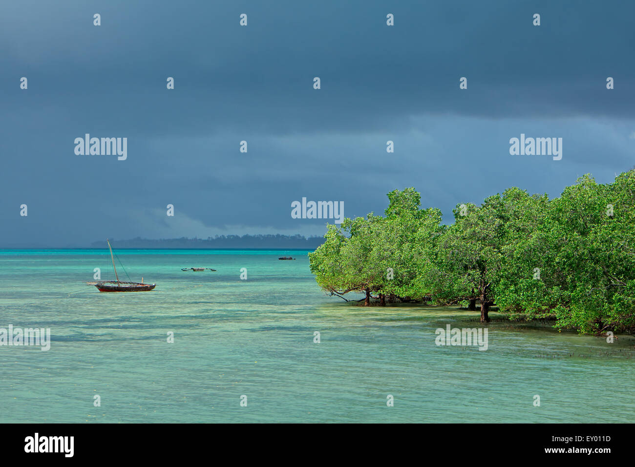 Seascape with mangrove trees and dhows on the tropical coast of Zanzibar island Stock Photo
