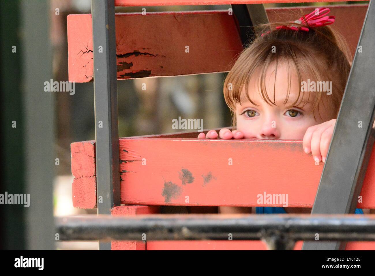 Small child peering out of a stock car of a train Stock Photo