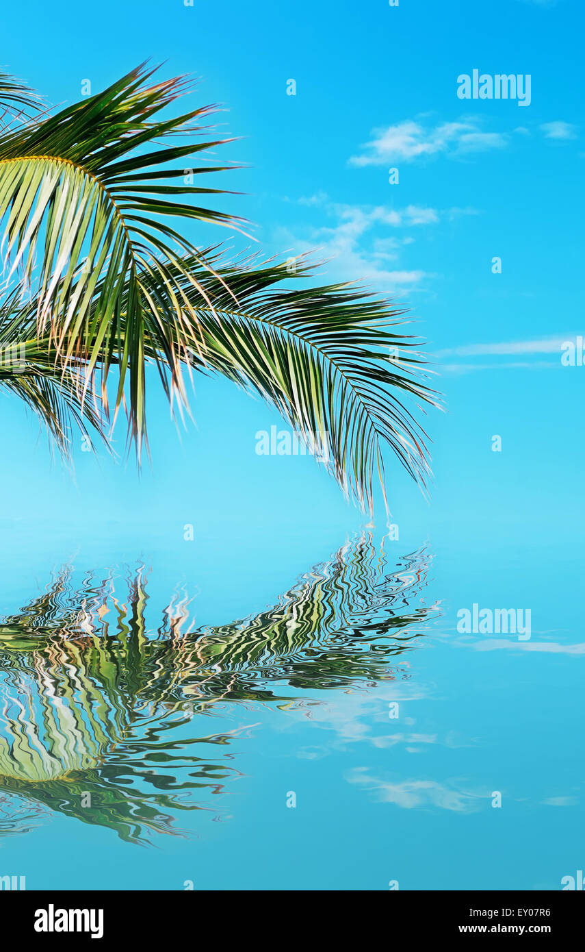 Sunbeam reflected in water hi-res stock photography and images - Alamy