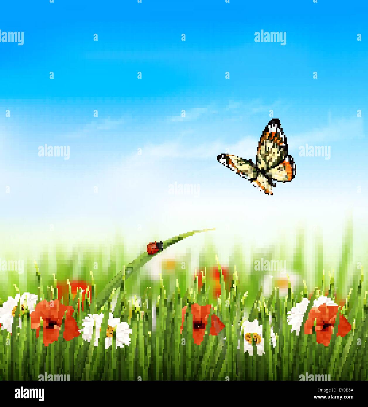 Nature summer colorful flowers with butterfly. Vector illustration ...