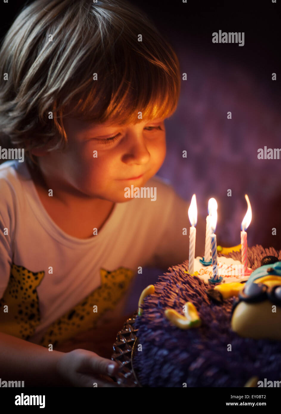 Little boy blows out candles on his birthday Stock Photo Alamy