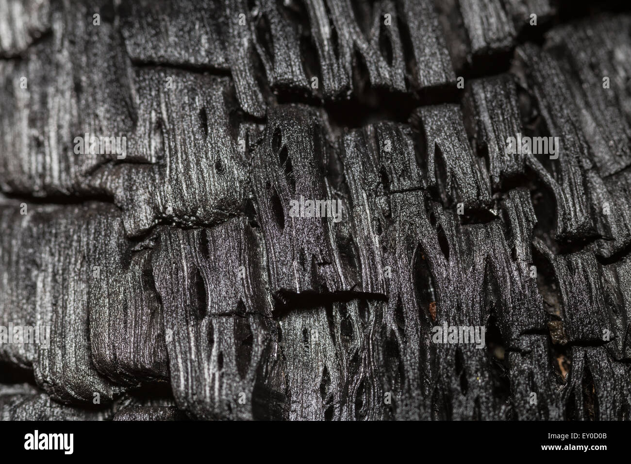 Macro photo of burnt wood Stock Photo