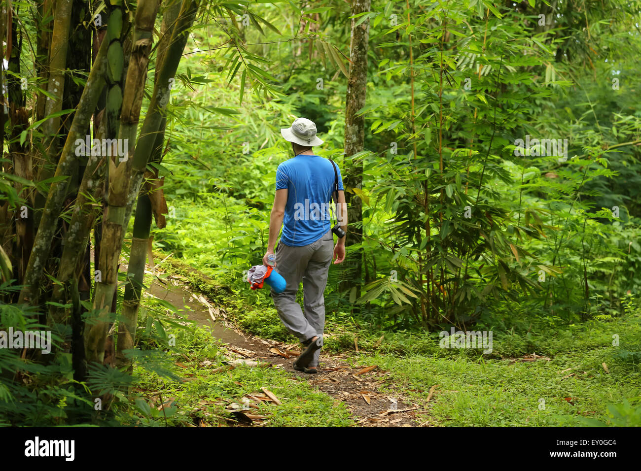 One young male adult walking through the rainforest in Bali, Indonesia. Wearing blue sports shirt, grey pants, hat, holding came Stock Photo