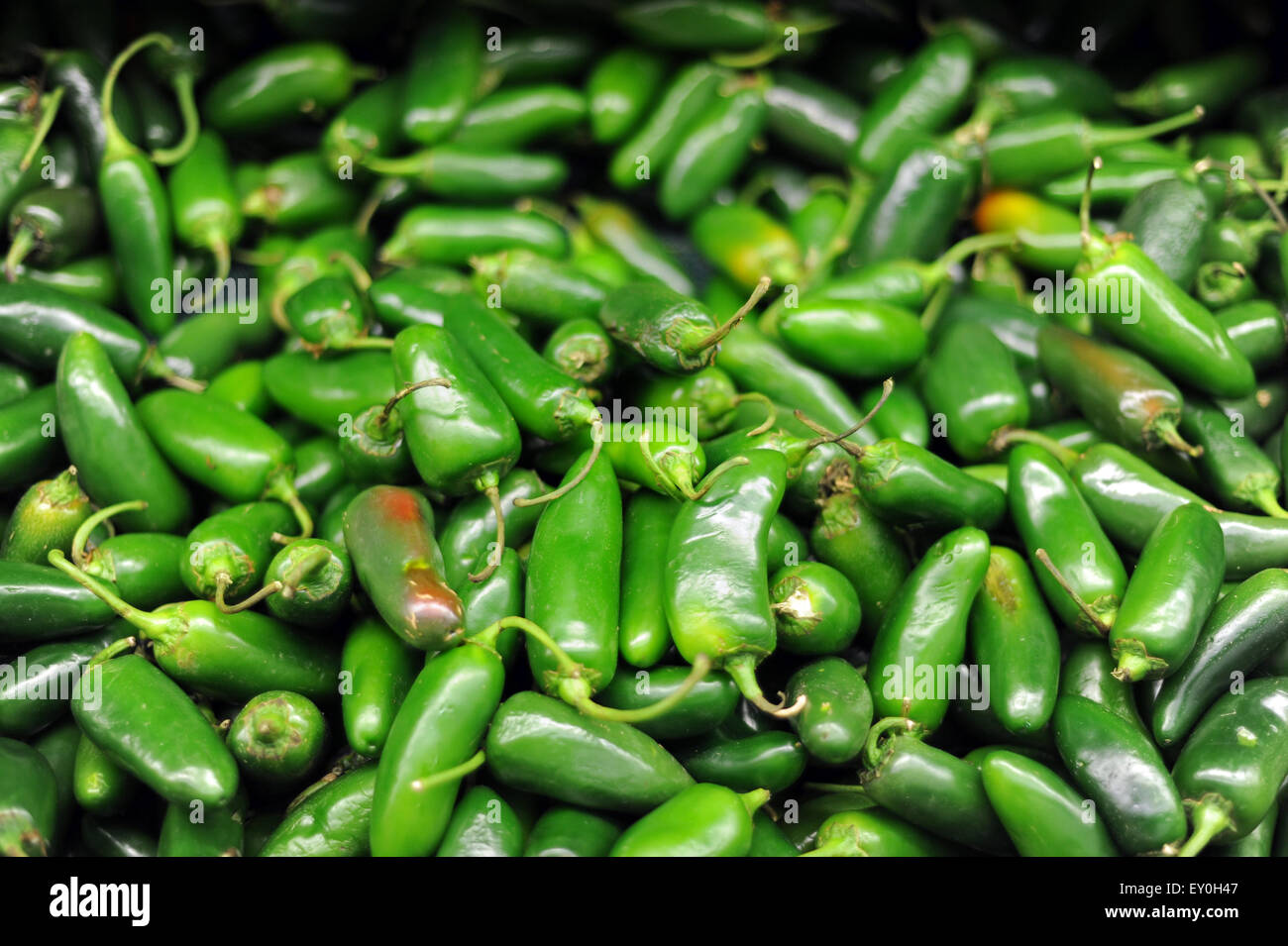Green chilli peppers (chile serrano, sierra chilli) sold in Walmart in