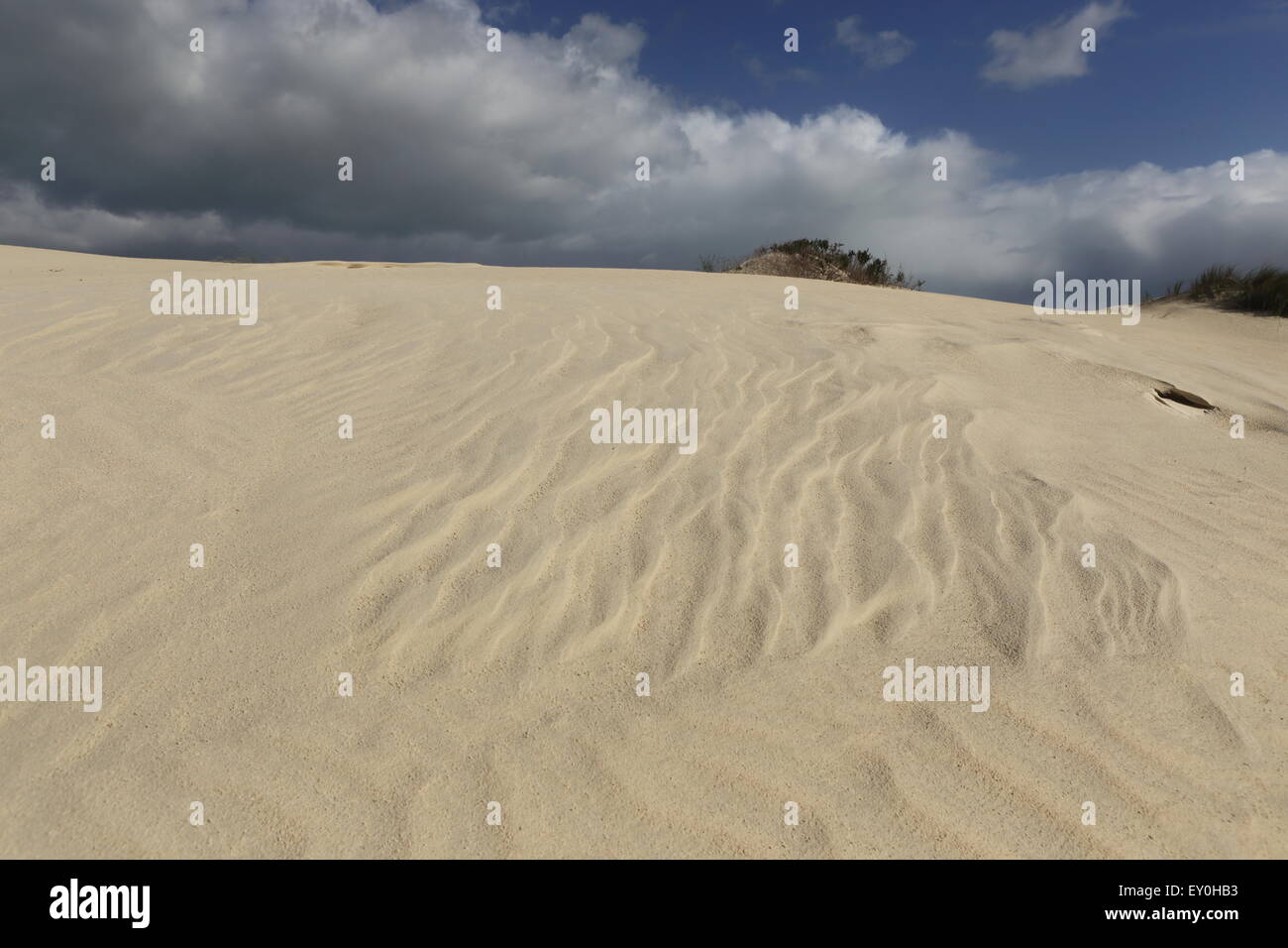 Beach dunes and vegetation in the De Plaat area of Struisbaai Stock Photo