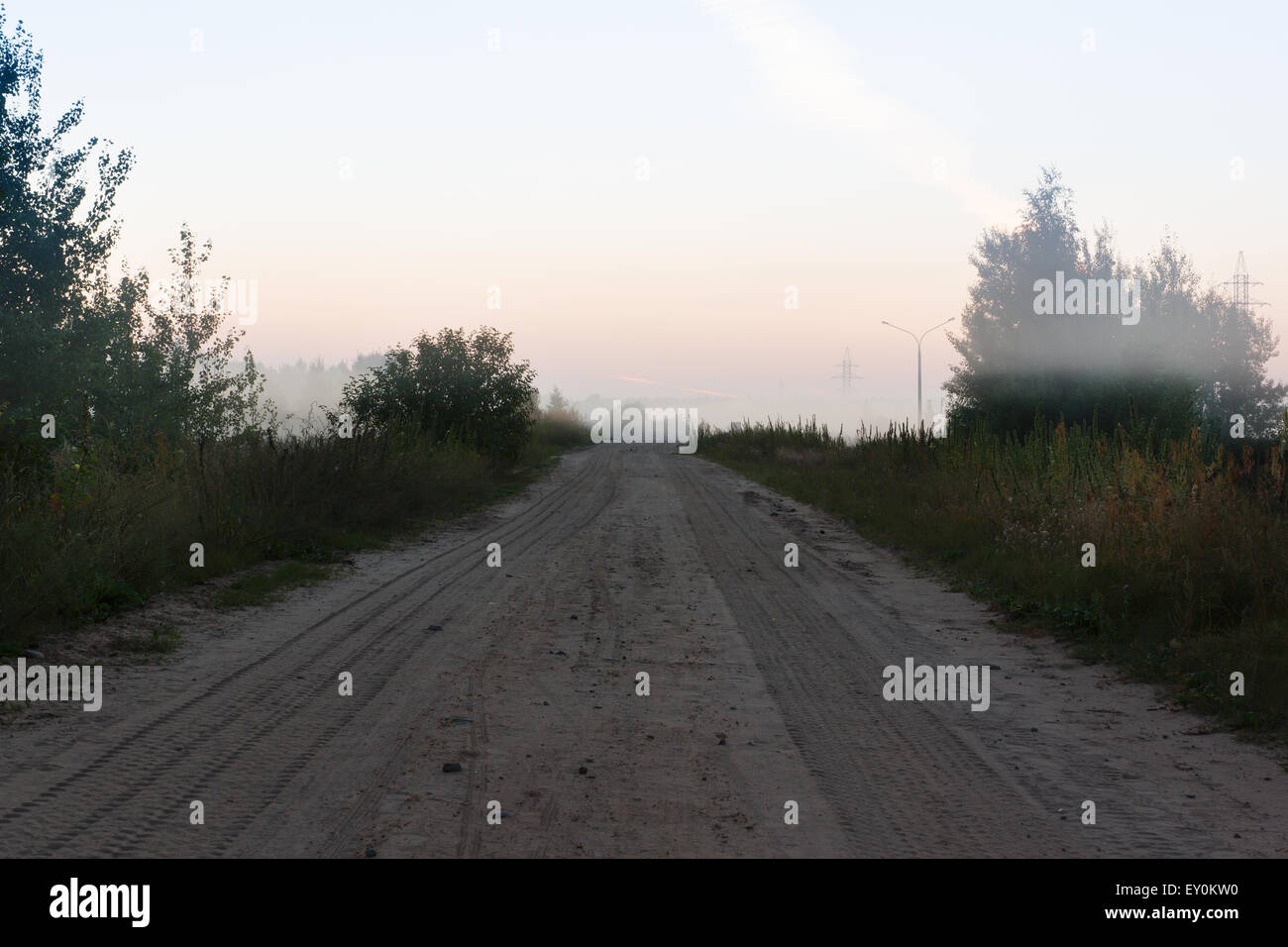 the road passes among trees in morning fog Stock Photo - Alamy