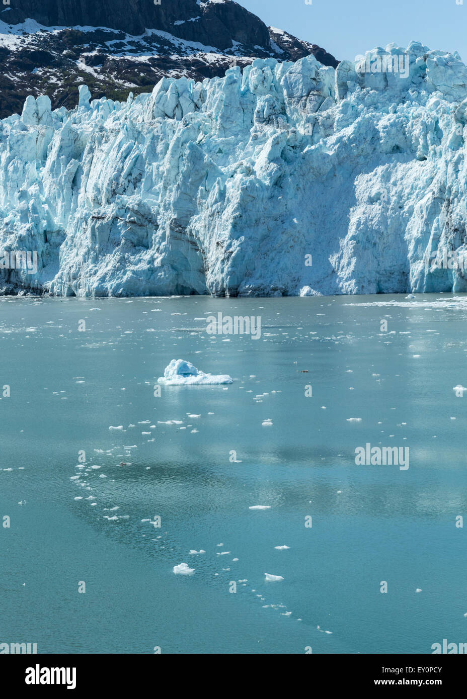 Alaska's Glacier Bay National Park and Preserve Stock Photo - Alamy