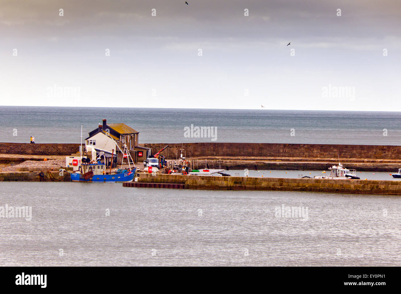 High tide in winter at Lyme Regis, Dorset, England, UK Stock Photo Alamy
