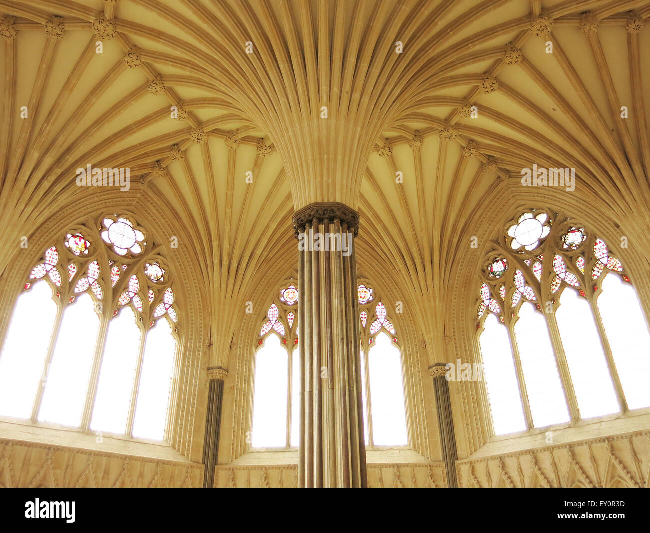 The decorative fan-vaulted ceiling of the Chapter House in Wells cathedral, Somerset, England, UK Stock Photo