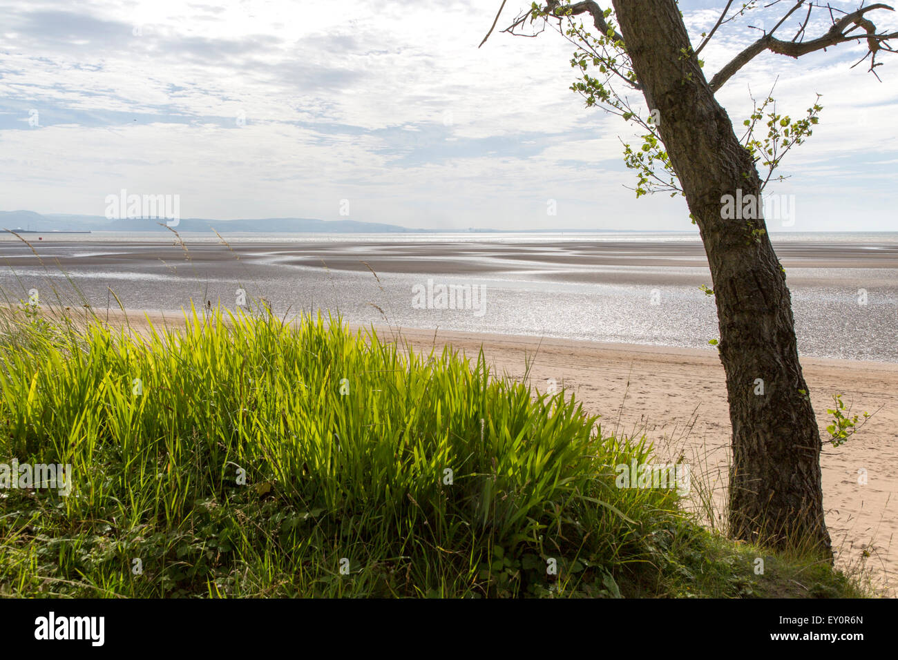 Beach at low tide, Swansea Bay, Swansea, South Wales, West Glamorgan, UK Stock Photo