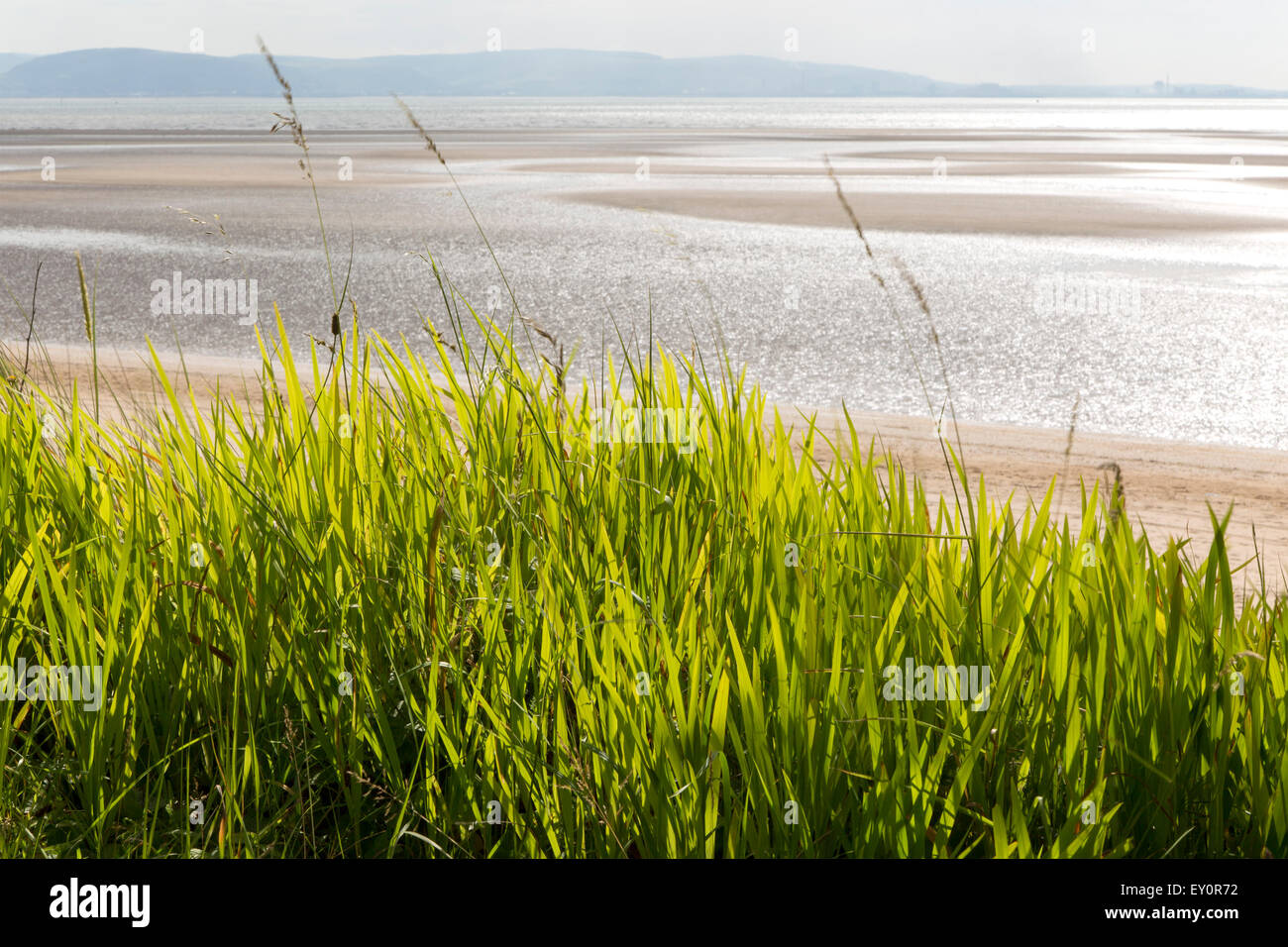 Beach at low tide, Swansea Bay, Swansea, South Wales, West Glamorgan, UK Stock Photo