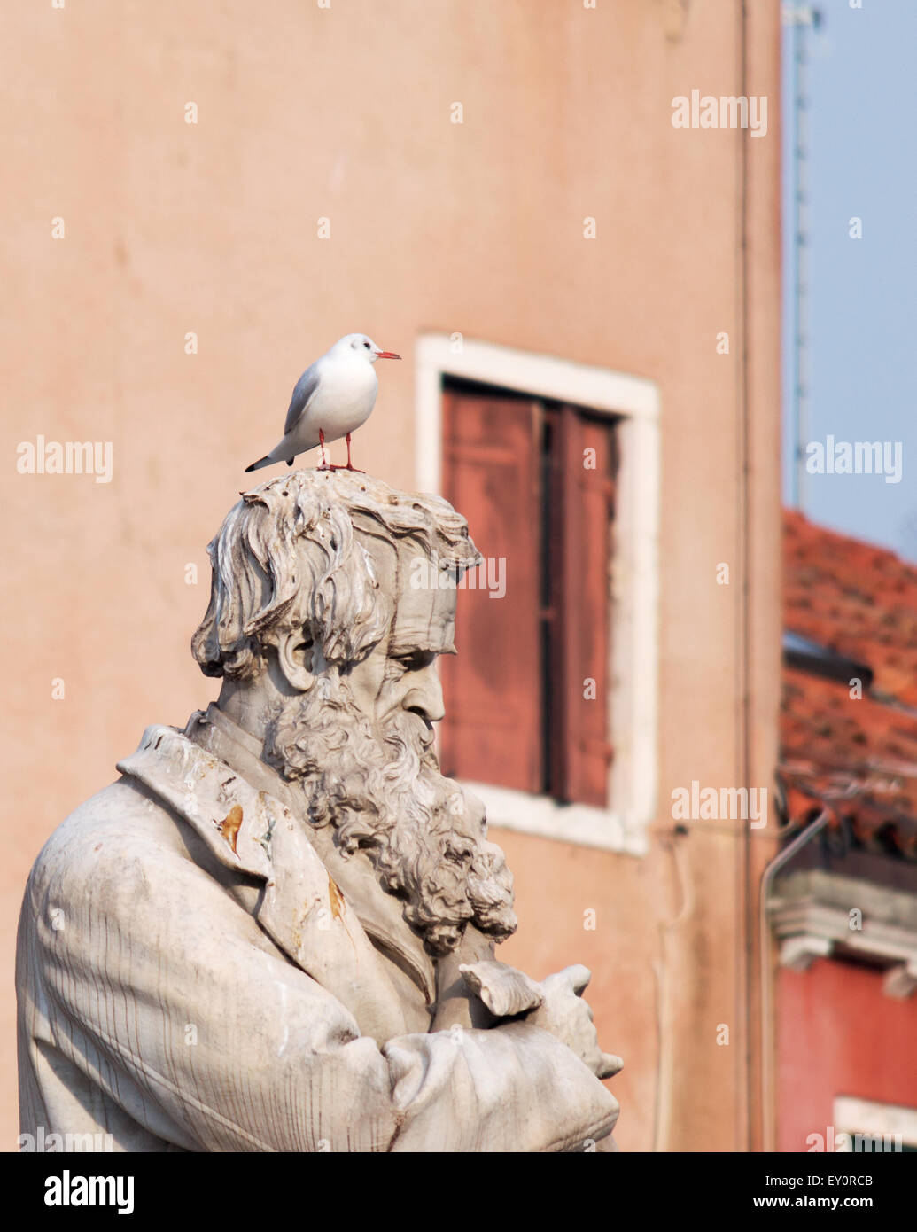 Niccolo Tommaseo statue with a seagull on it Stock Photo