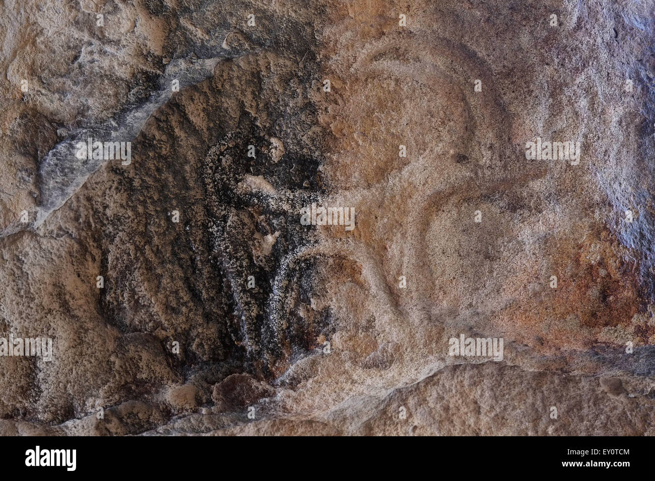 Ancient Petroglyph dating back to 10,000 BC depicting a goat at Gobustan National Park located west of the settlement of Gobustan on the Caspian Sea Azerbaijan Stock Photo