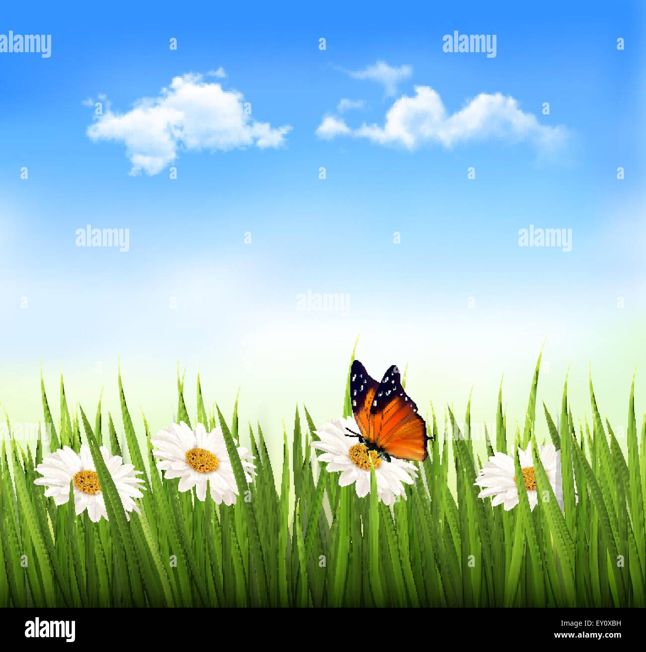 Nature background with green grass, flowers and a butterfly. Vector ...