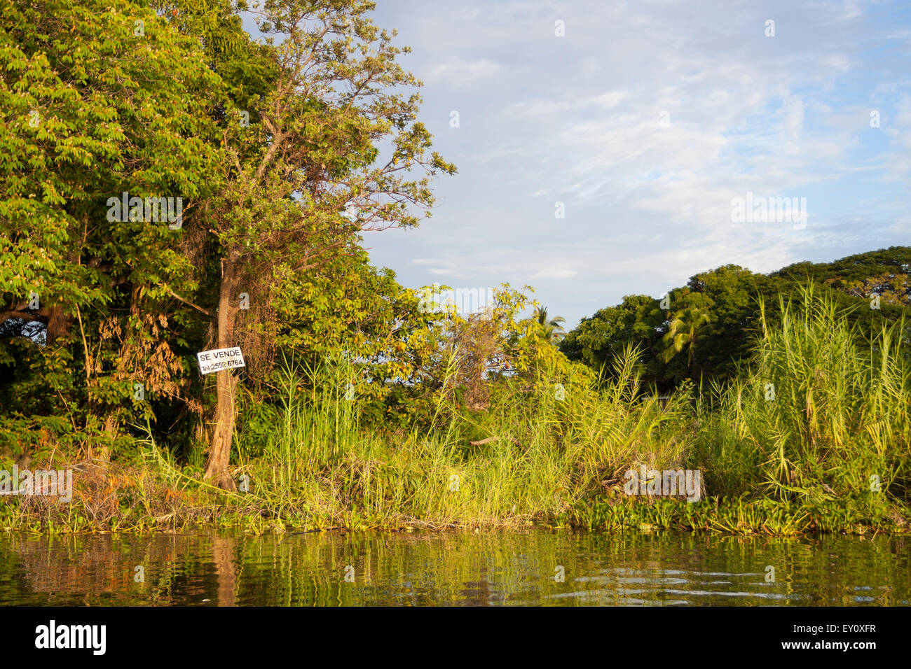 Piece of ground on sale at Islets of Granada, Nicaragua Stock Photo Alamy