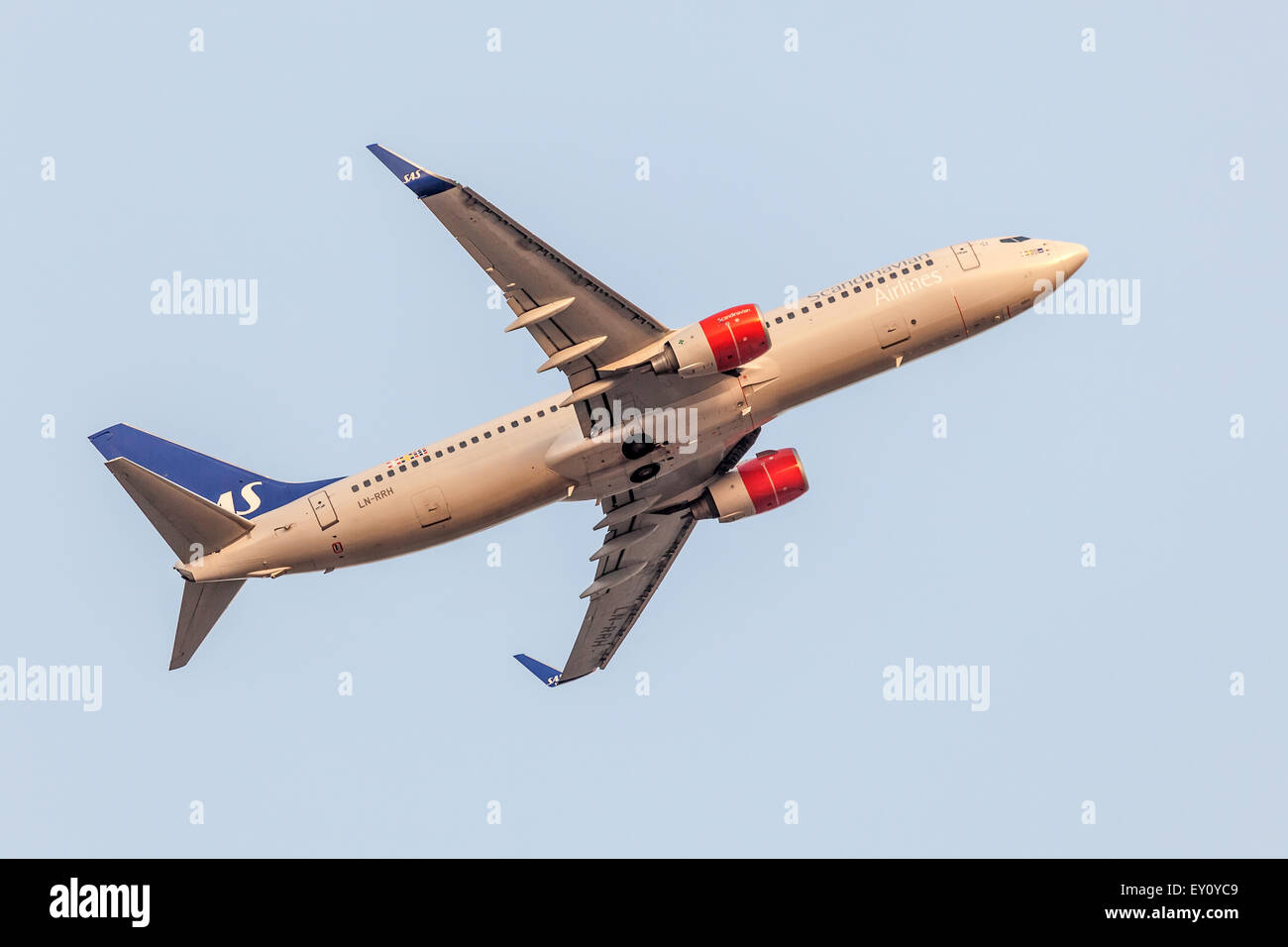 Boeing 737 Next Gen of the Scandinavian Air System after take off at the Frankfurt International Airport Stock Photo