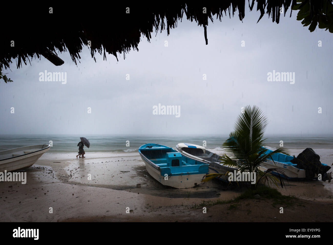 Tropical storm at Big Corn Island, Nicaragua Stock Photo Alamy