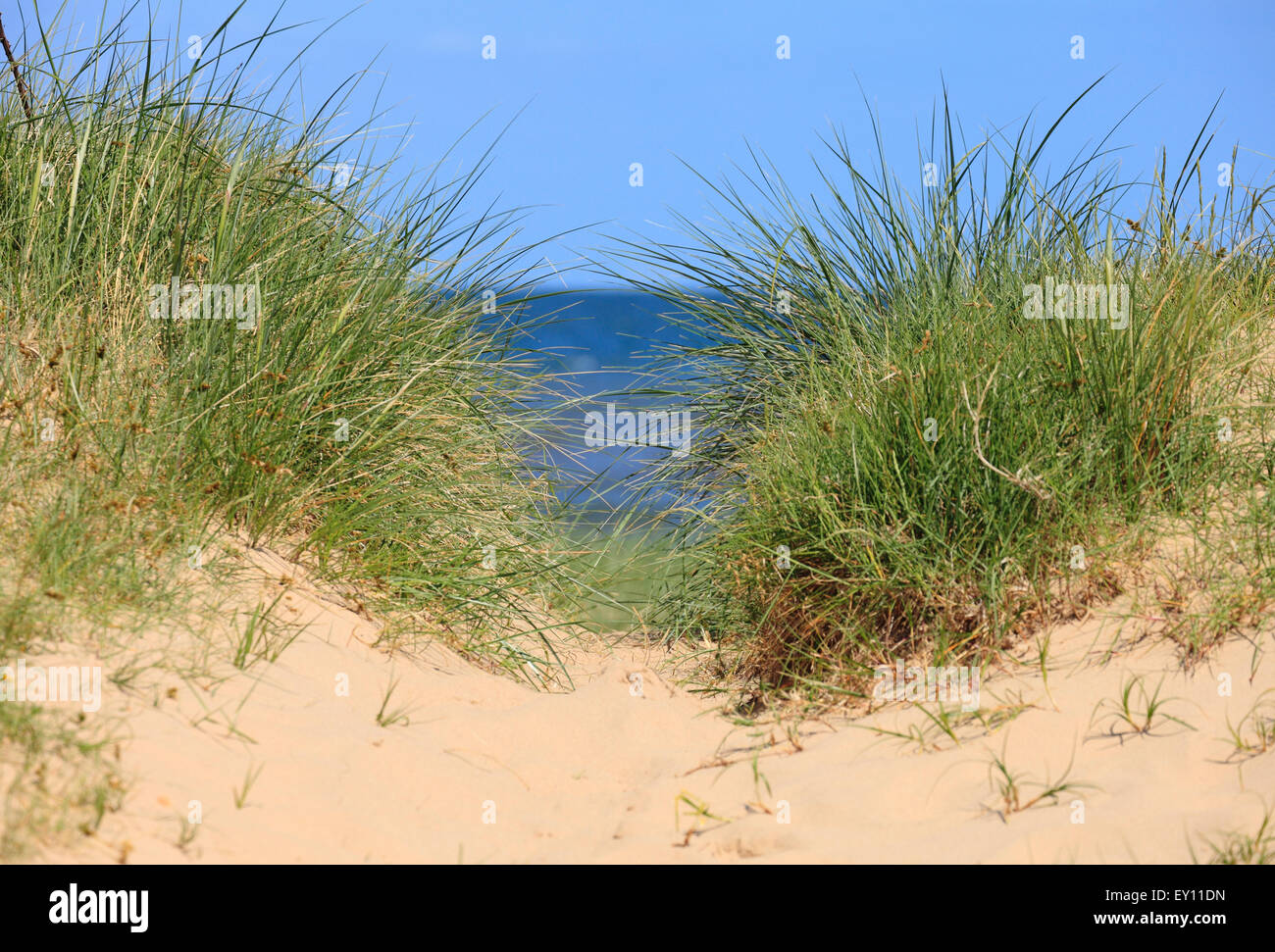 Gap in the dunes with the sea visible beyond. Stock Photo