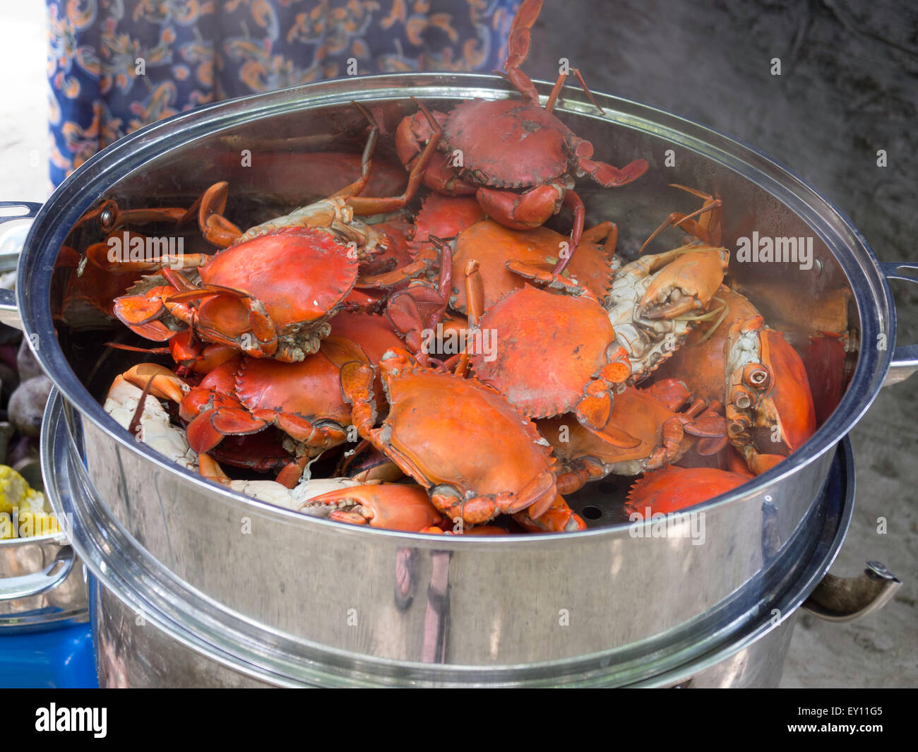 Pot of crabs being cooked in Malaysia Stock Photo
