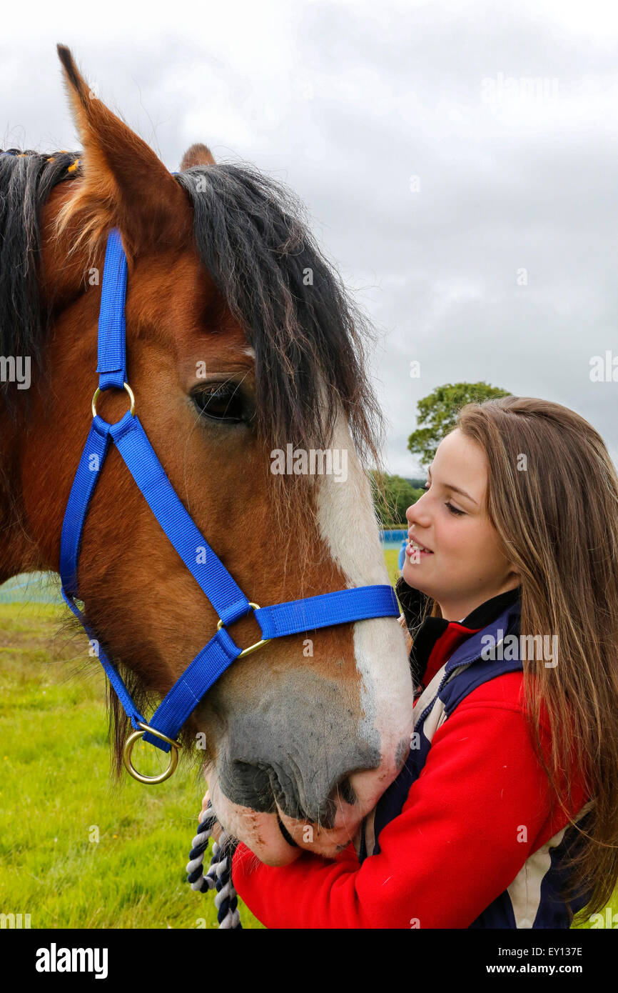 Despite the recent bad weather and heavy rain, many competitors from across Scotland turned out to support and compete in the annual Heavy Horse Show at the Museum of Country Life, East Kilbride, near Glasgow, Scotland. Stock Photo