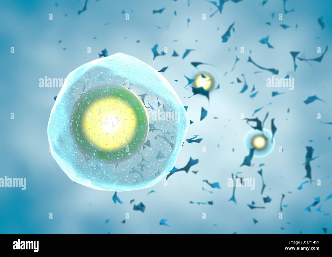 3d Single human egg cell on blue background Stock Photo