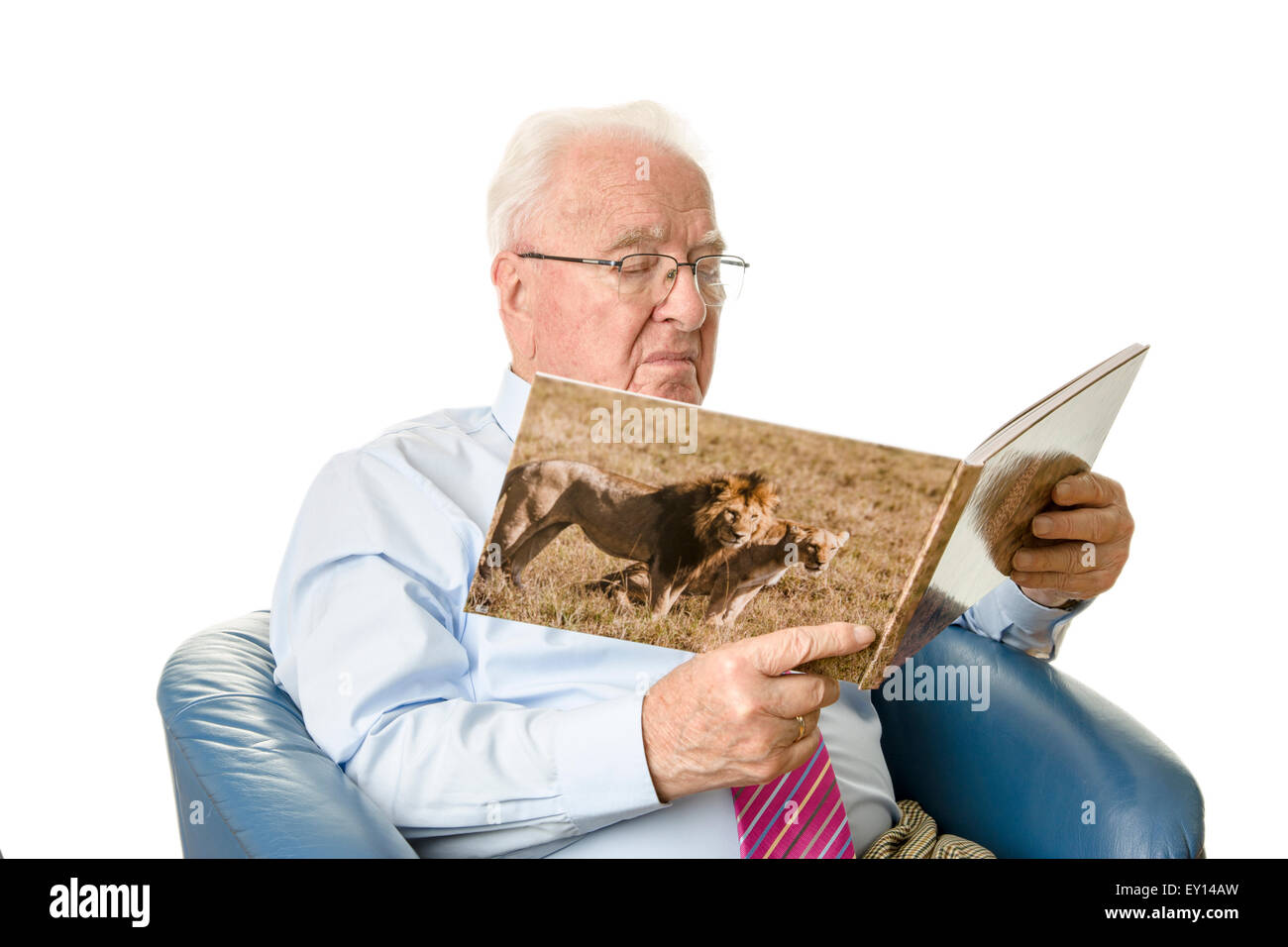Senior reading a safari picture book Stock Photo
