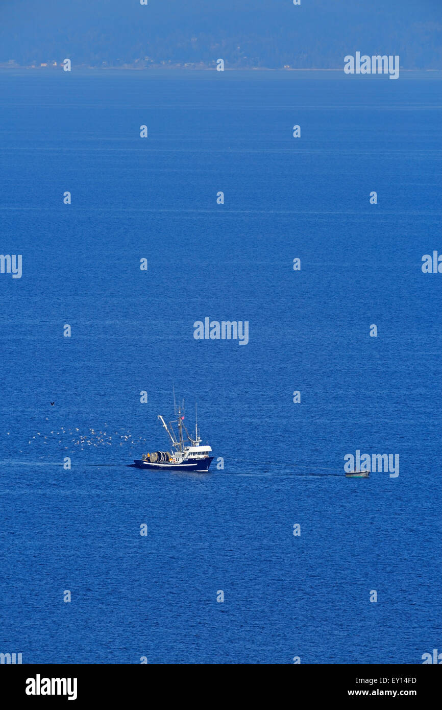 Herring net hi-res stock photography and images - Alamy