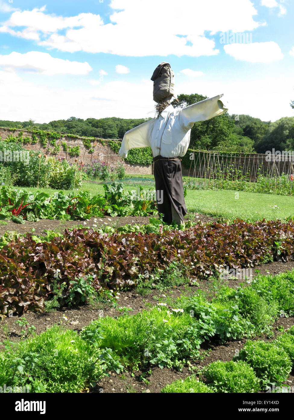 A Scarecrow in the kitchen garden at Harewood House, Nr Leeds, Yorkshire Stock Photo