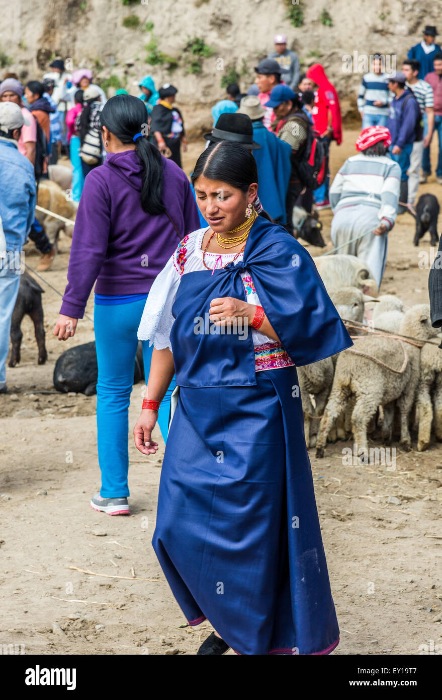 A native woman in traditional dress at livestock market. Otavalo
