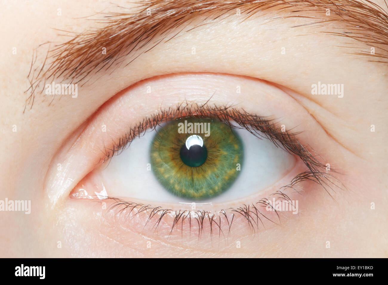Human, green healthy eye macro Stock Photo